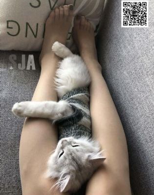欧美毛卡片免费一级域名网站_蓝光全集在线观看