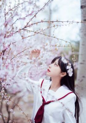 青青草精品综合_4K电影完整版在线观看